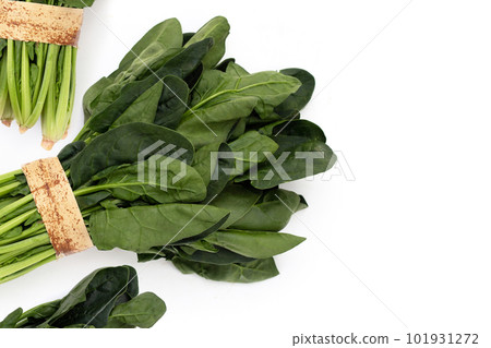 Fresh spinach on white background 101931272