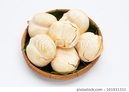 Toddy palm on white background. Toddy palm on white background. 101931331