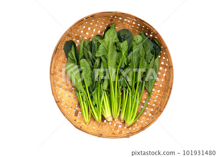 Fresh spinach in bamboo weave plate Fresh spinach in bamboo weave plate 101931480