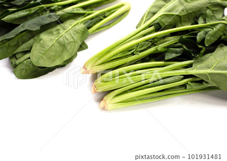 Fresh spinach on white background Fresh spinach on white background 101931481