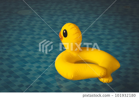 Indoor swimming pool with swim lanes and Duck rubber ring 101932180