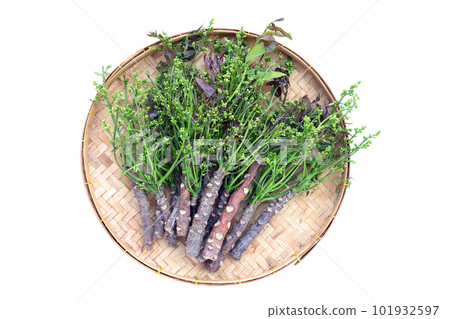 Neem leaves with flowers on white background. Neem leaves with flowers on white background. 101932597