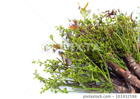 Neem leaves with flowers on white background. Neem leaves with flowers on white background. 101932598
