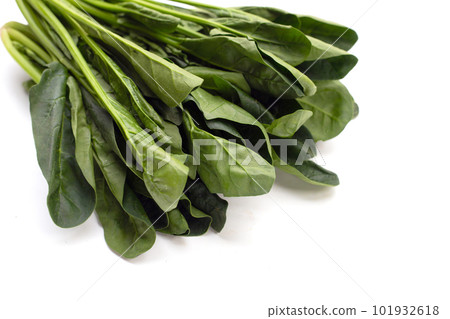 Fresh spinach on white background 101932618