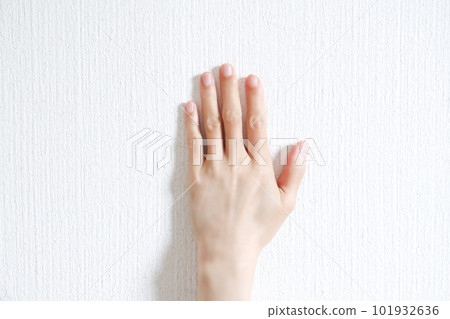 Woman's hand The back of the hand Woman's hand The back of the hand 101932636