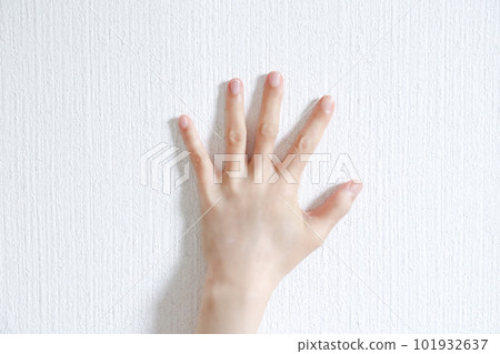 Back of hand Woman's hand 101932637