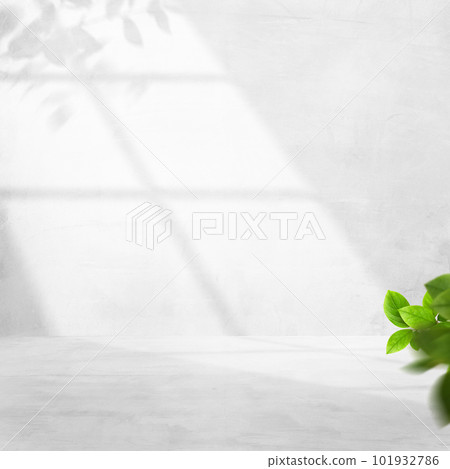 簡潔清爽的空間 101932786