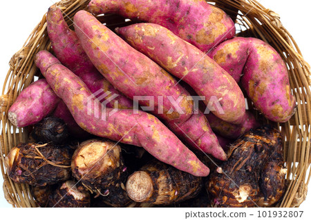 Sweet potato with taro in bamboo basket on white background. Sweet potato with taro in bamboo basket on white background. 101932807