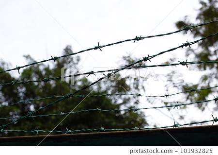 Barbed wires against sky. Wired fence Barbed wires against sky. Wired fence 101932825