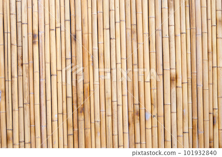 Yellow bamboo texture. Dried bamboo wall or fence background 101932840