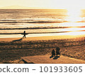 Twilight beach 101933605