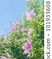 Blue sky and pink flowers 101933608