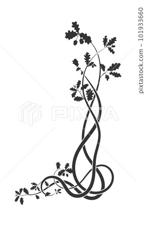 element weaving to the top plant oak. vector image 101933660