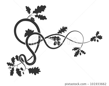simple pattern weaving up plant tree oak. vector 101933662