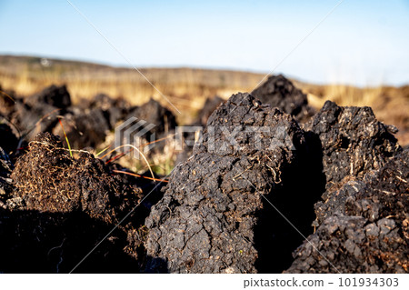 Peat Turf cutting in County Donegal - Ireland Peat Turf cutting in County Donegal - Ireland 101934303