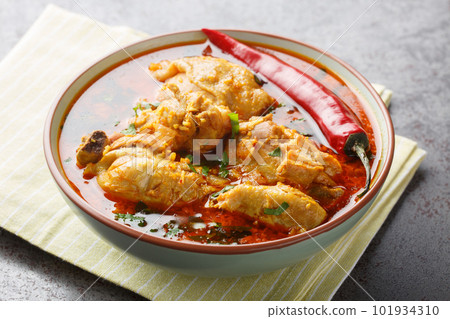 Malvani Masala spicy Chicken curry with coconut closeup on the bowl. Horizontal 101934310