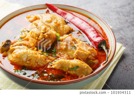 Chicken curry a Maharashtrian dish is made with aromatic Malvani spices and coconut closeup on the bowl. Horizontal 101934311