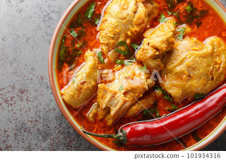 Malvani Masala spicy Chicken curry with coconut closeup on the bowl. Horizontal top view 101934316