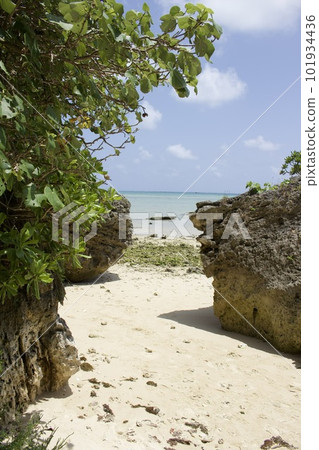 一百個海灘 一百個海灘 101934436