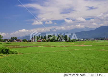 南魚沼市大澤的稻田風光 101934512