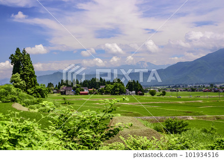 Rice paddy scenery in Osawa, Minamiuonuma City Rice paddy scenery in Osawa, Minamiuonuma City 101934516