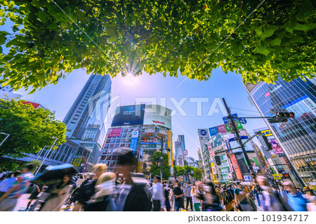 東京都市風景在日本夏日。新綠映照下的澀谷站前。東京一年中最熱的一天 = 4 月 20 日 東京都市風景在日本夏日。新綠映照下的澀谷站前。東京一年中最熱的一天 = 4 月 20 日 101934717