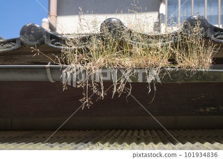 Weir-clogged gutter Weir-clogged gutter 101934836