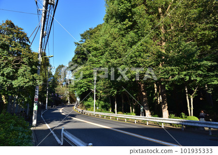 世田谷上野下自然公園旁的稻荷坂 101935333