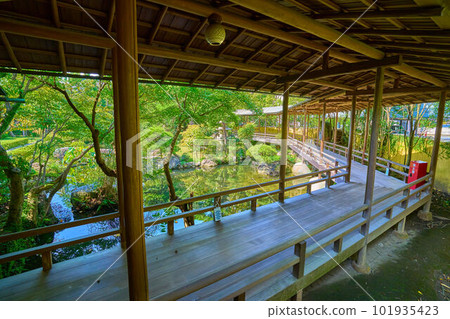 View of the garden (Suikeien) from the large corridor of Taishakuten (Daikyoji Temple) at Shibamata 7-chome, Katsushika-ku, Tokyo View of the garden (Suikeien) from the large corridor of Taishakuten (Daikyoji Temple) at Shibamata 7-chome, Katsushika-ku, Tokyo 101935423