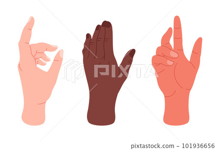 Human hands gestures. Palms with elegant gesture, male or female hands showing, presenting and pointing flat vector illustration set 101936656