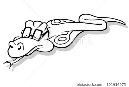 Drawing of a Sleeping Snake Drawing of a Sleeping Snake 101936975
