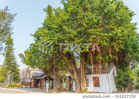 Anping Tree House 2023, Tainan City, Taiwan 101937150