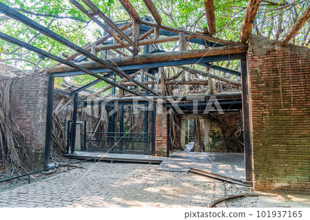 Anping Tree House 2023, Tainan City, Taiwan 101937165