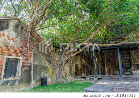 Anping Tree House 2023, Tainan City, Taiwan 101937318
