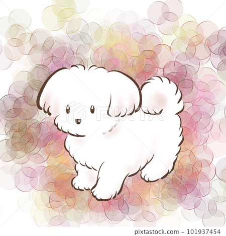 Simple illustration of a cute maltese Simple illustration of a cute maltese 101937454