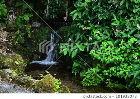 From Heaven's Manai From Heaven's Manai 101938078