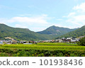 夏天的鄉村風光 101938436