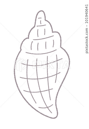 Sea shell hand drawn line drawing vector illustration / single color Sea shell hand drawn line drawing vector illustration / single color 101940641