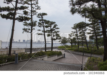 竹芝碼頭周圍的風景 101940868