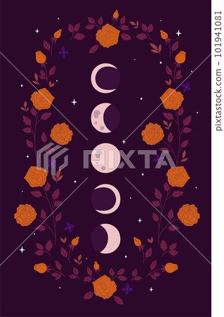 Moon phases and flowers on a purple background. Vector graphics. 101941081