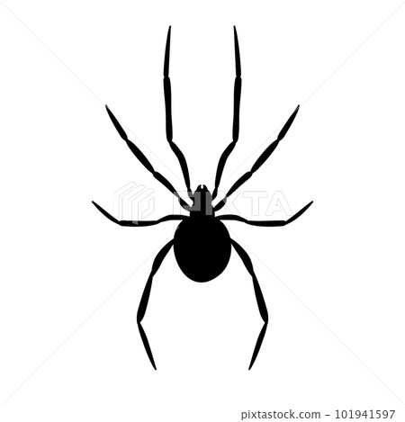 Vector flat hand drawn spider silhouette Vector flat hand drawn spider silhouette 101941597