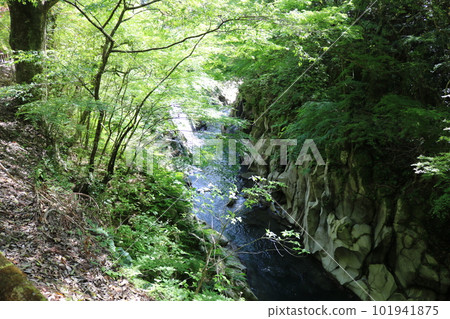 三峽永田 101941875