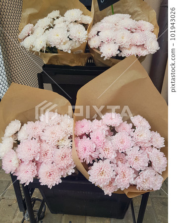Beautiful gift bouquets of chrysanthemums in brown kraft paper, on the counter of a flower shop, vertical Beautiful gift bouquets of chrysanthemums in brown kraft paper, on the counter of a flower shop, vertical 101943026