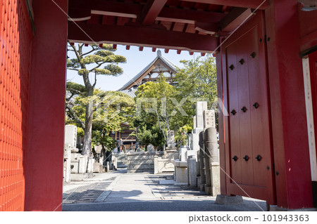 Tennoji, Osaka / Sakamatsuyama Kogakuin Isshinji South Gate (Photographed on April 1, 2023) Tennoji, Osaka / Sakamatsuyama Kogakuin Isshinji South Gate (Photographed on April 1, 2023) 101943363