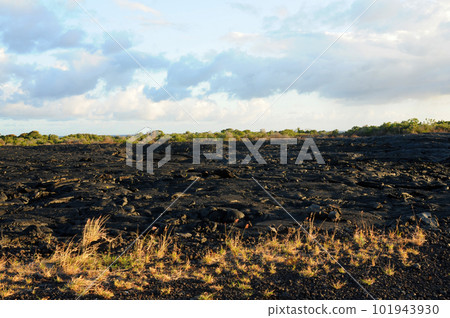 Fresh hardened Lava Kilauea volcano Fresh hardened Lava Kilauea volcano 101943930
