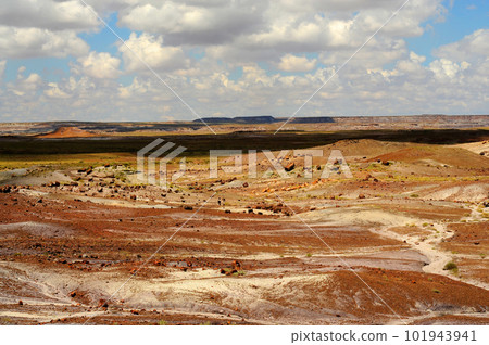 Rugged Landscape Petrified Forest Arizona 101943941