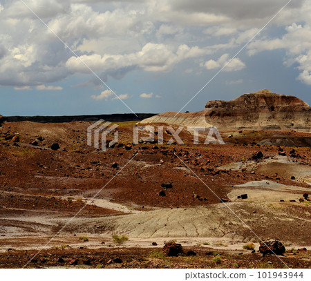 Rugged Landscape Petrified Forest Arizona Rugged Landscape Petrified Forest Arizona 101943944