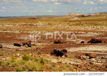 Rugged Landscape Petrified Forest Arizona 101943947