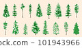 Christmas trees. Fir trees. Textured ink brush drawing. Vector illustration 101943966