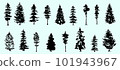 Christmas trees. Fir trees. Textured ink brush drawing. Vector illustration 101943967